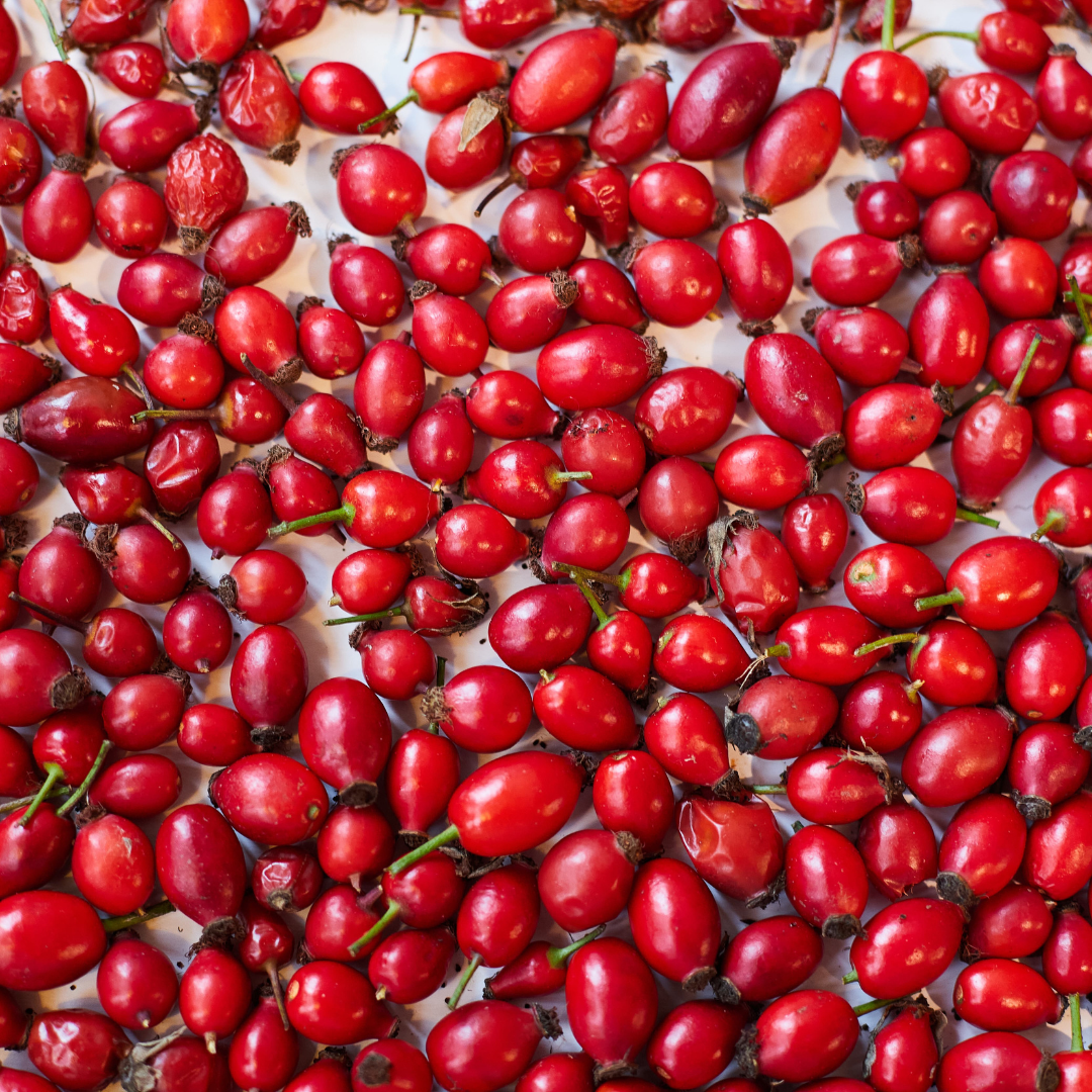 Organic Rosehip Oil - Professional | PURE Spa & Beauty