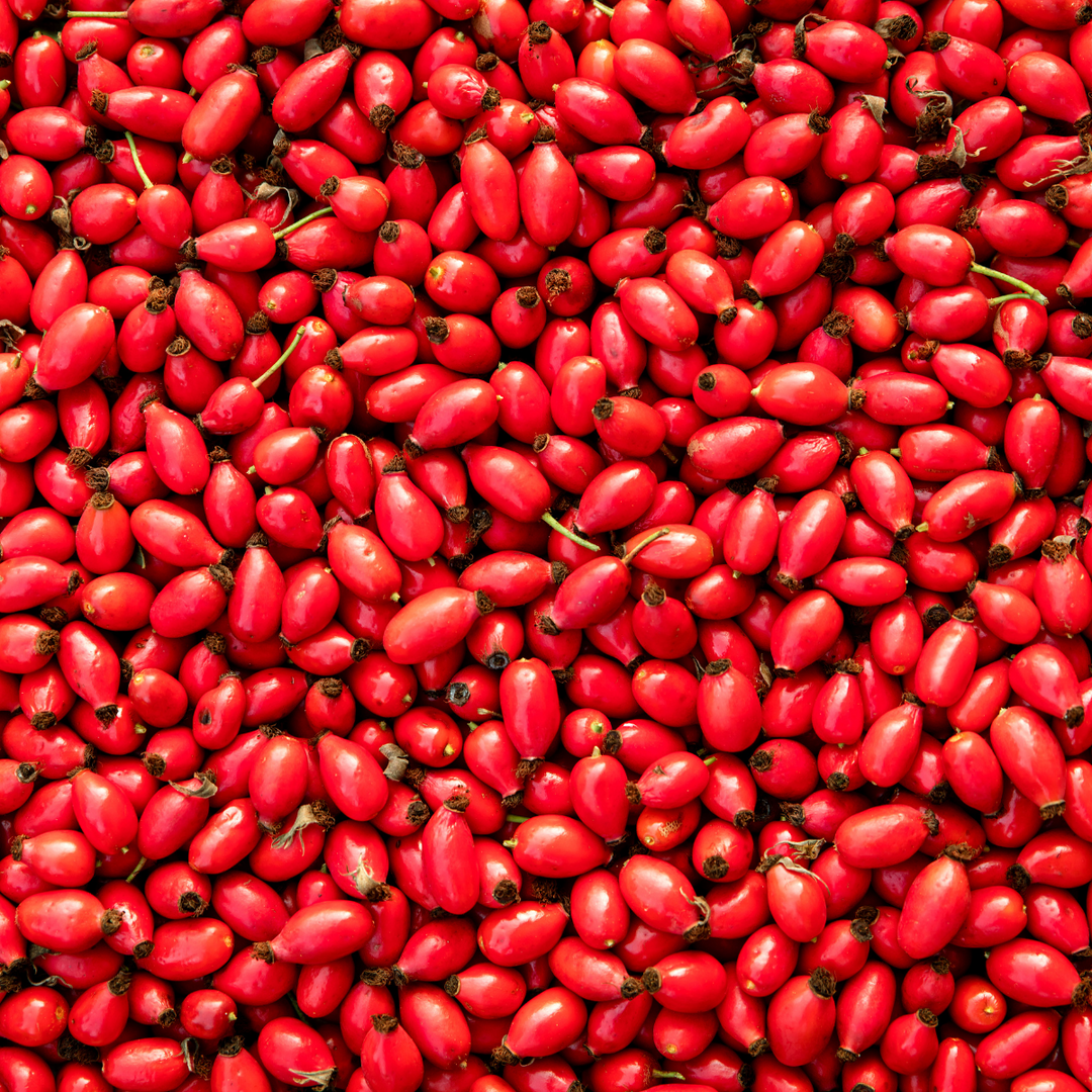 PURE Organic Cold-Pressed Rosehip Face Oil (30ml) | PURE Spa UK