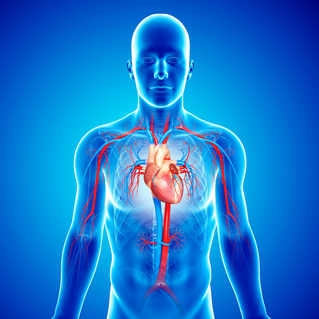 Nuvivo Signature Health Assessment