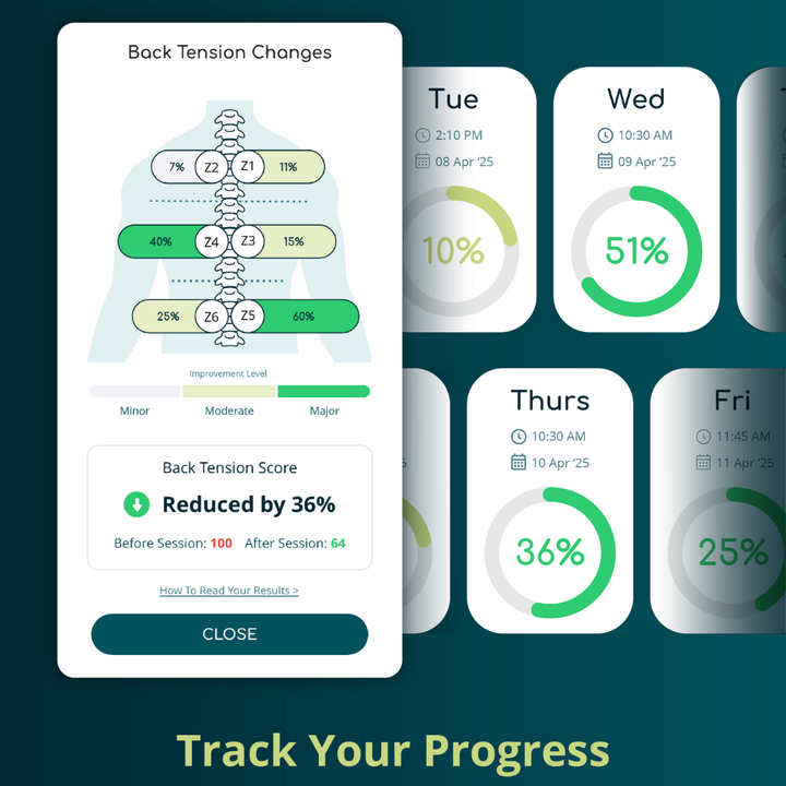 BackHug Robotic Back Therapy - 90 min session