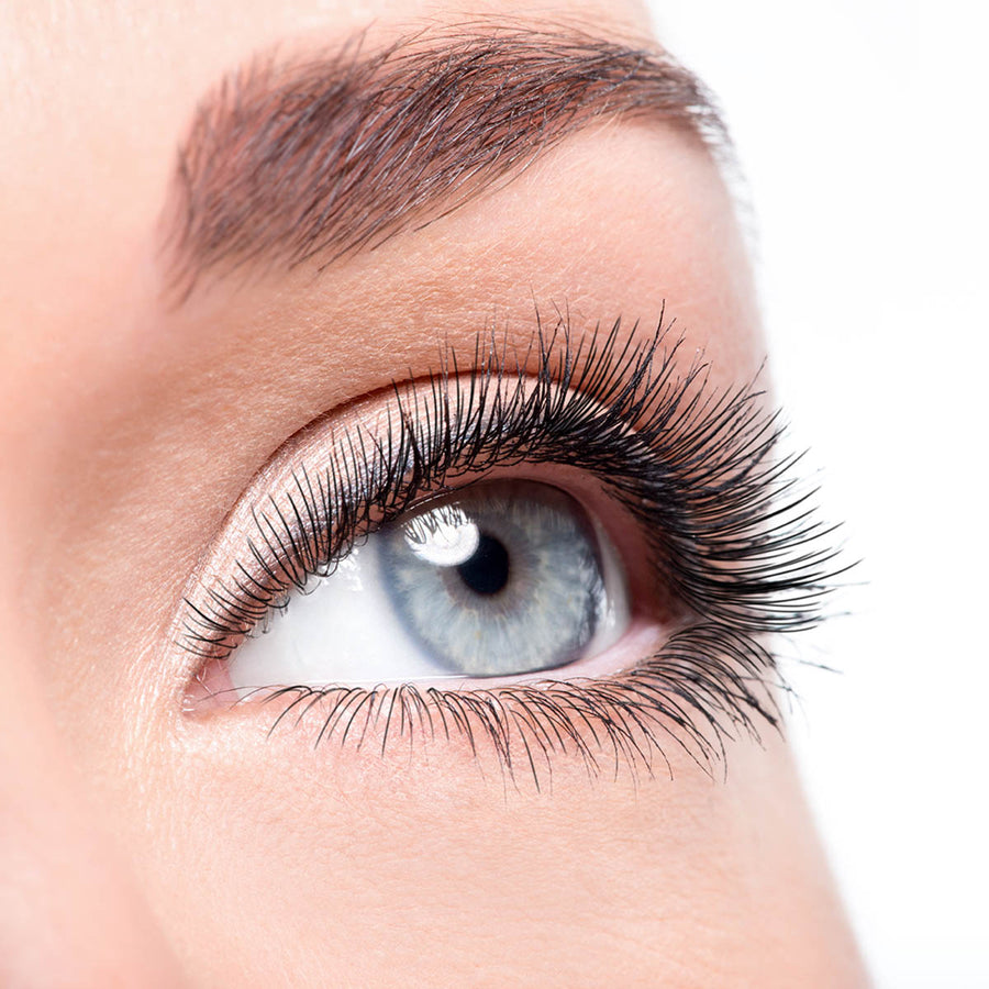 PURE Let's Go Lashes - 30 min Treatment | PURE Spa & Beauty