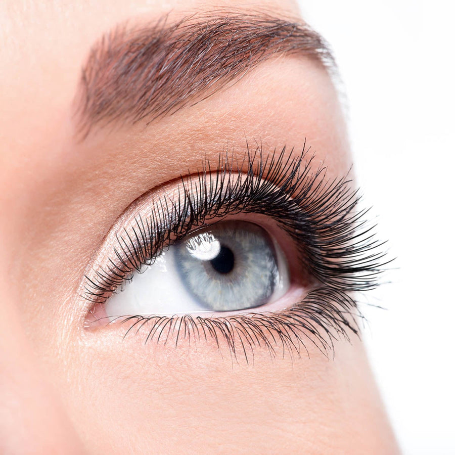 PURE Let's Go Lashes - 30 min Treatments (Course) | PURE Spa & Beauty